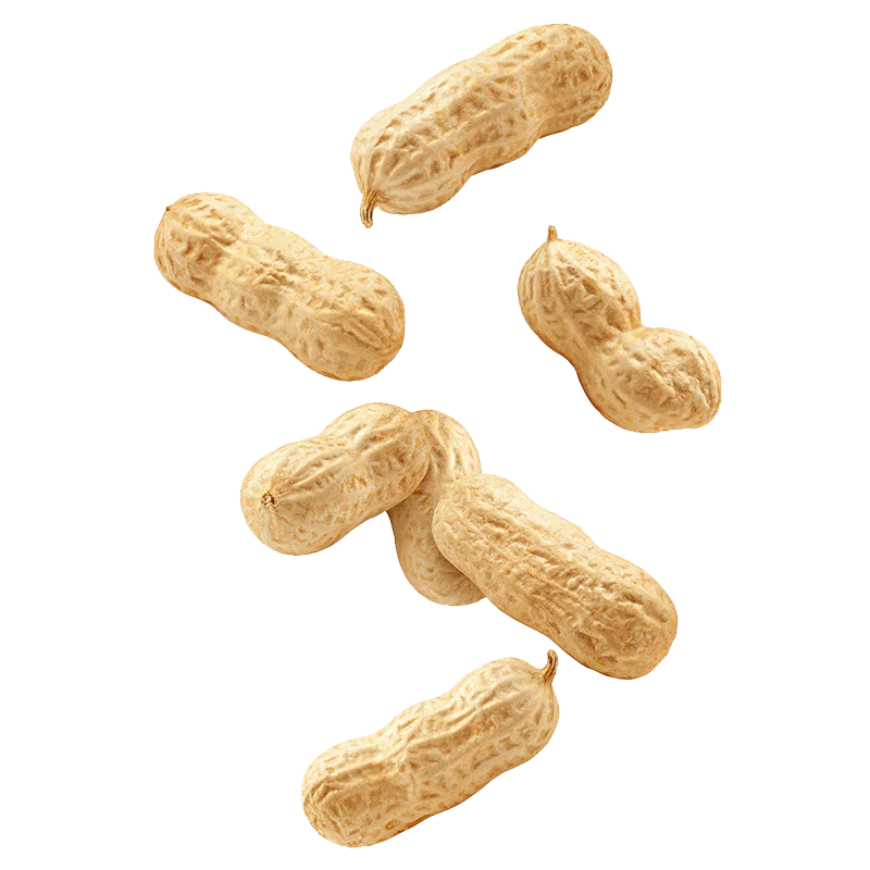 Macro Mike Peanut Plant Protein Original Peanut Butter 1kg